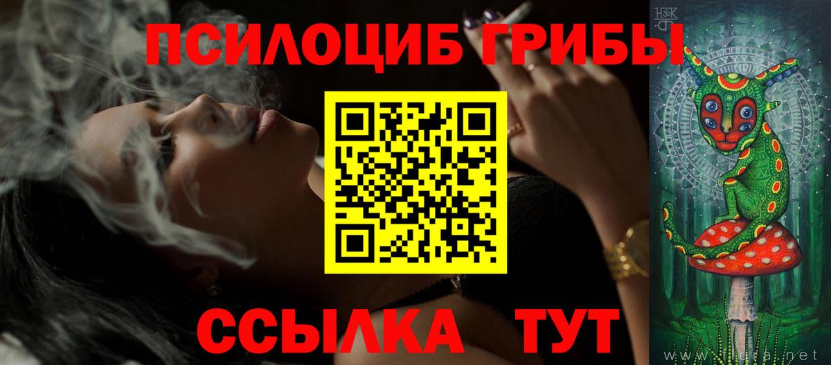 Кольчугино  Псилоцибиновые грибы Psilocybe  купить наркотики сайты  Псилоцибиновые грибы Psilocybine cubensis  Вход с VPN 